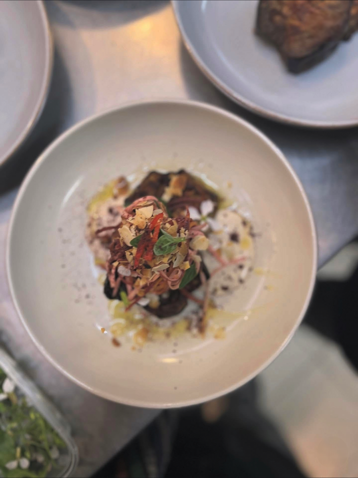 Overhead view of a plated Mediterranean dish at a private dinner